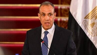 وزير الخارجية المصري