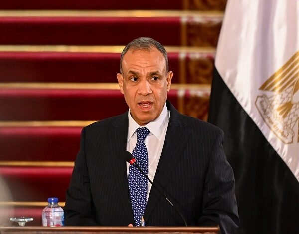 وزير الخارجية المصري