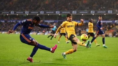 وولفرهامبتون ونيوكاسل